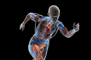 para que sirve la biomecanica